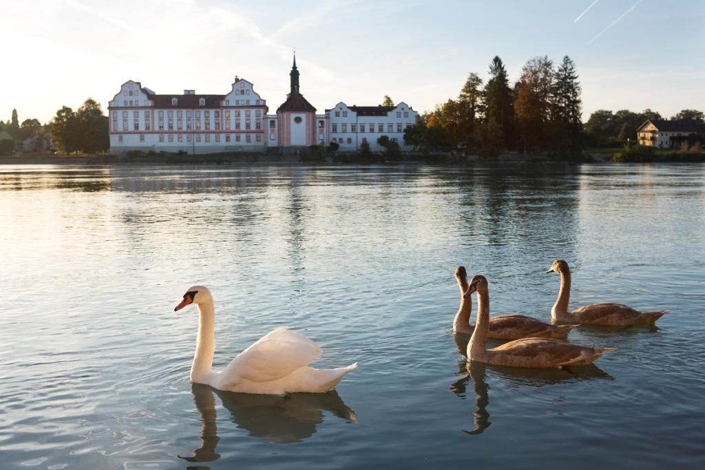 Gesundheitshotel Gugerbauer Шердінґ Екстер'єр фото